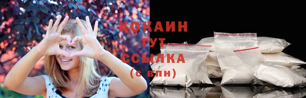 спайс Баксан
