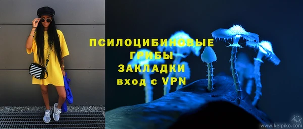 спайс Баксан