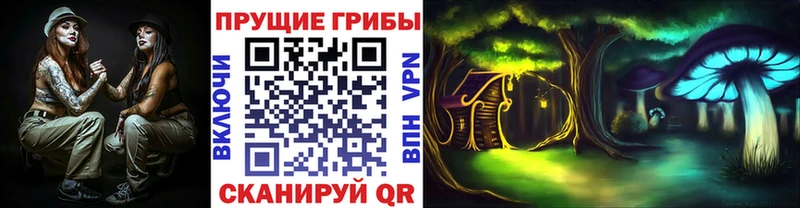 где можно купить   Пойковский  Галлюциногенные грибы MAGIC MUSHROOMS 